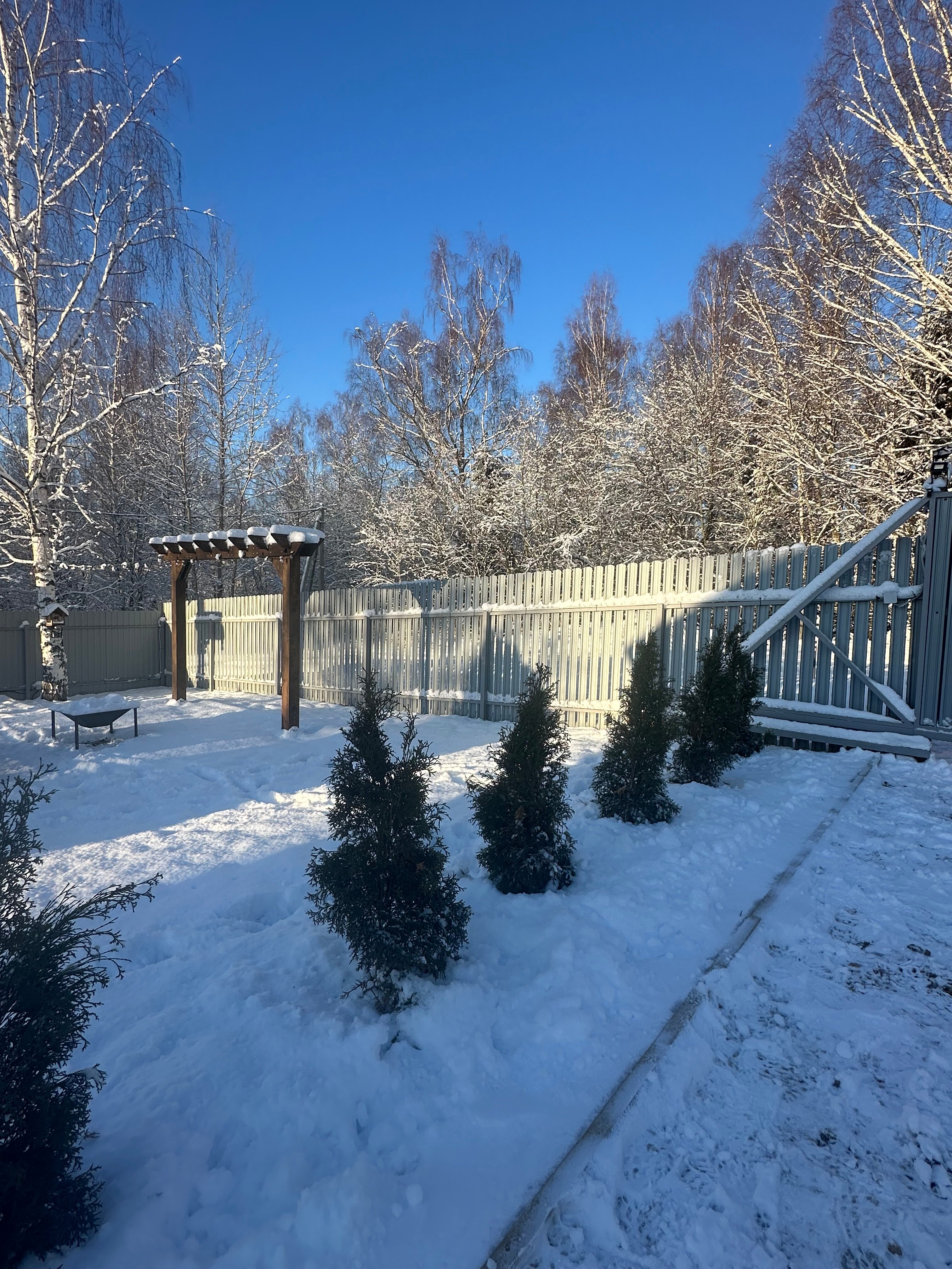 Фото Лесное Гнездышко