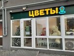 Flowers at the address (ulitsa Starshiny Dadayeva, 66), flower shop