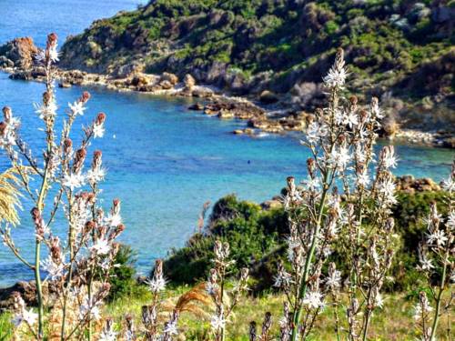 Фото Fattoria Il Borghetto