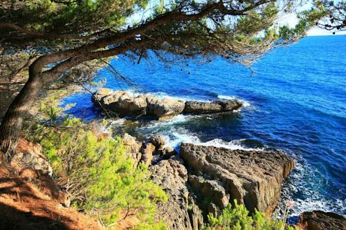 Фото Hotel Mediteran Ulcinj