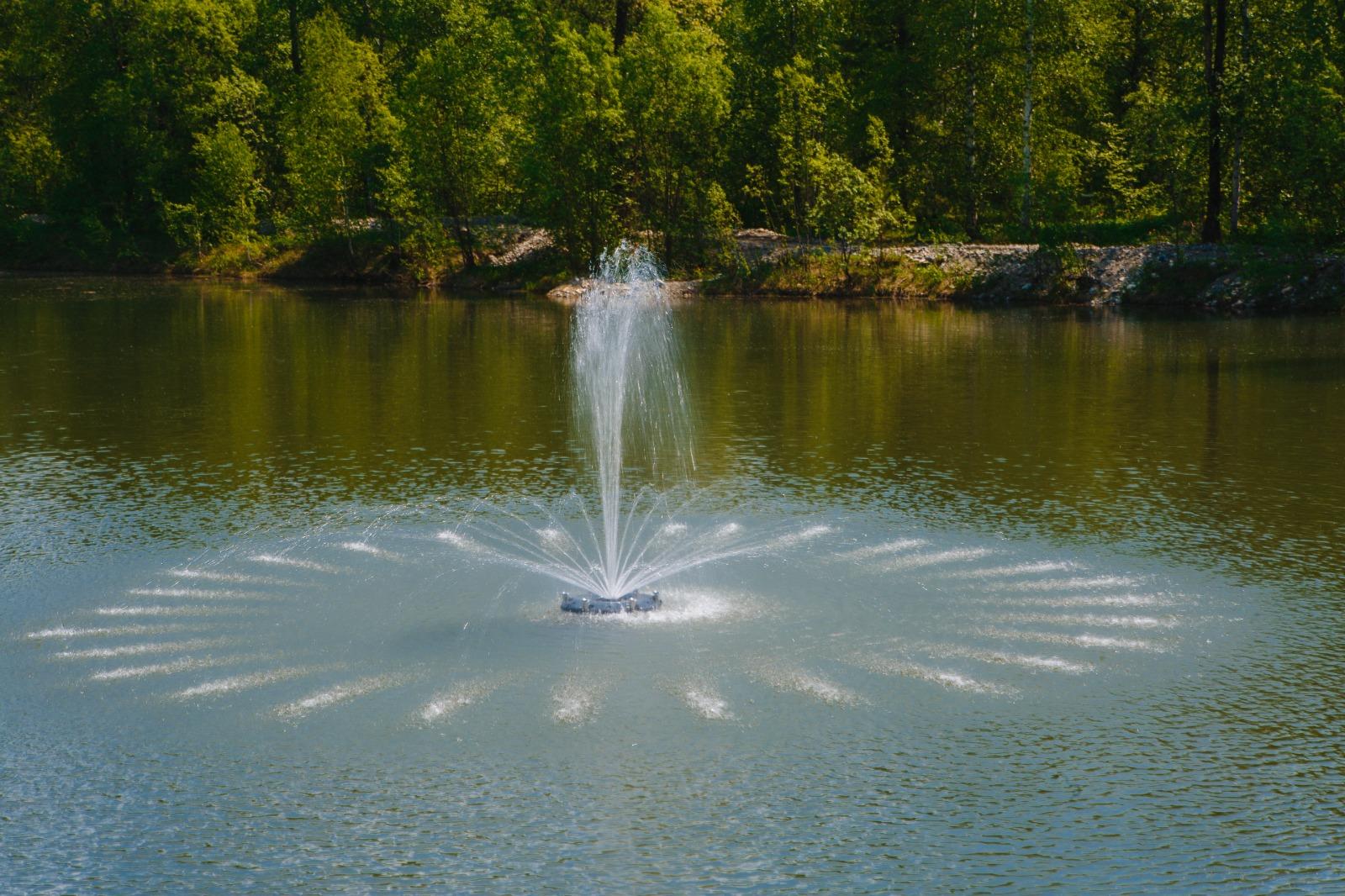 Фото Фантазия