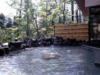 Фото Hakone Kowakien