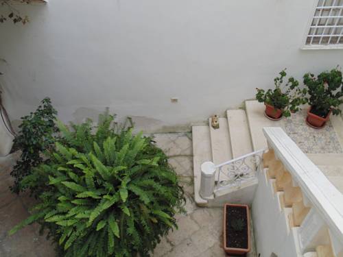 Фото Residence Kale