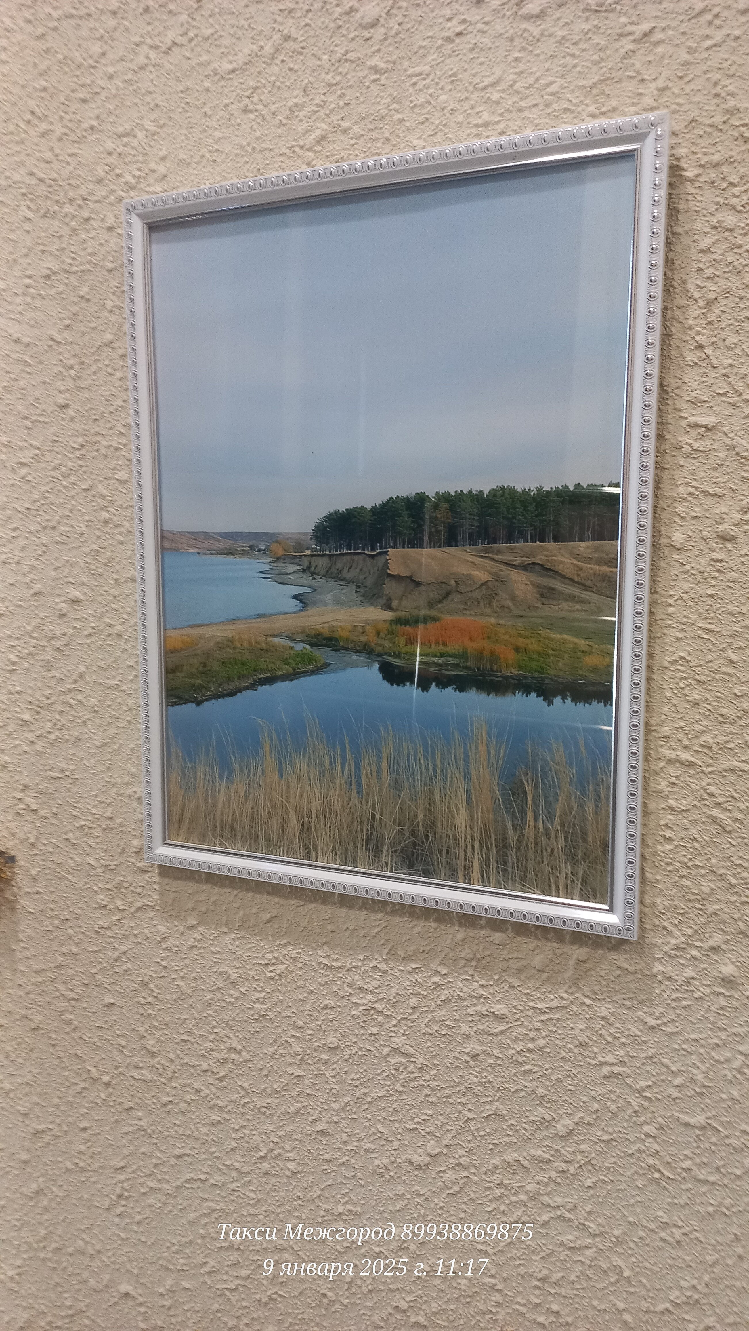 Фото Хостел Волга