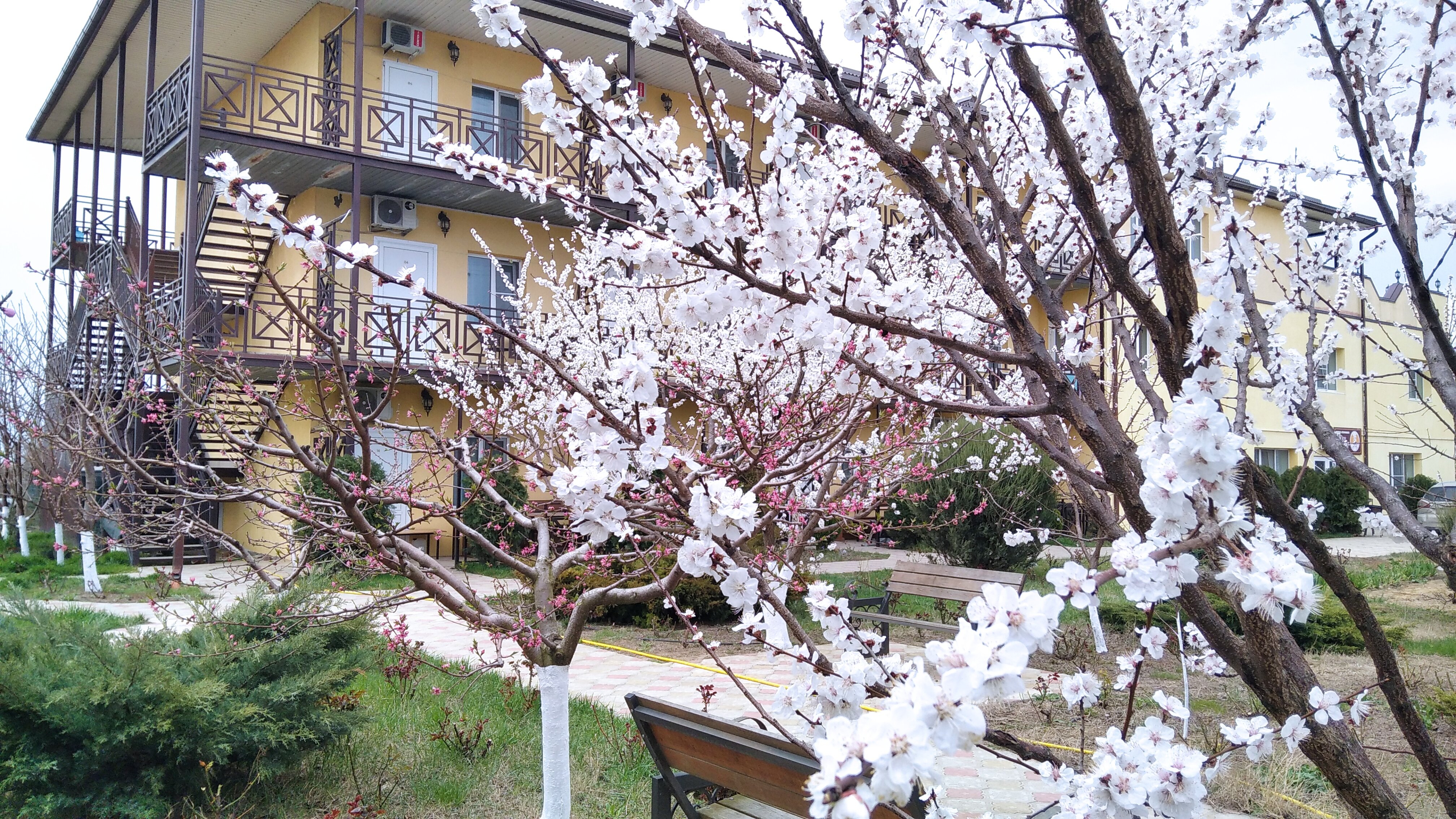 Фото Добрый Бобр