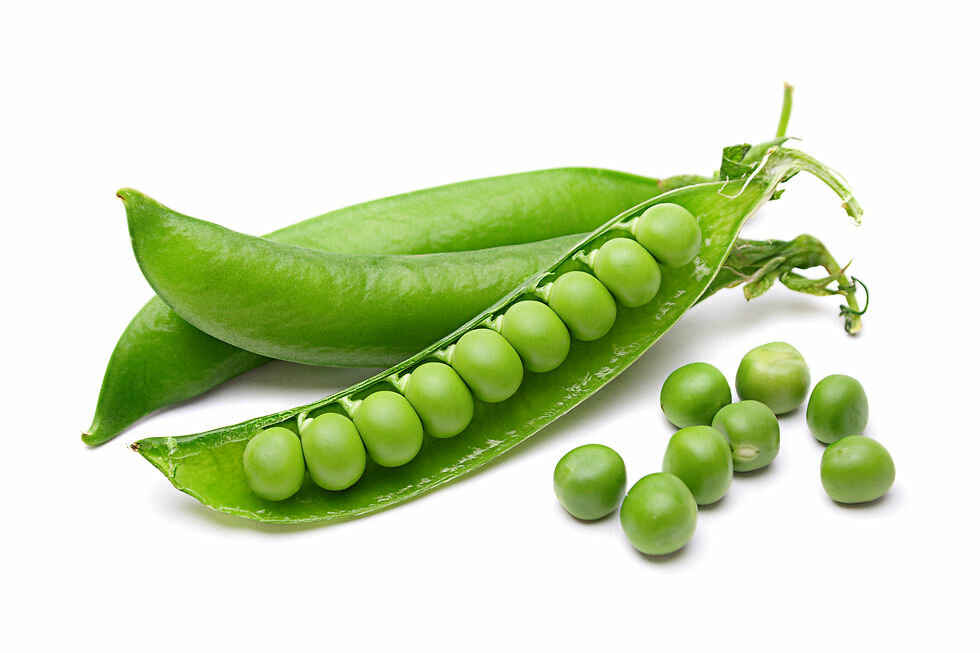 Vegetables and fruit wholesale Tajunnisa Vegetables & Fruits, Dubai, photo