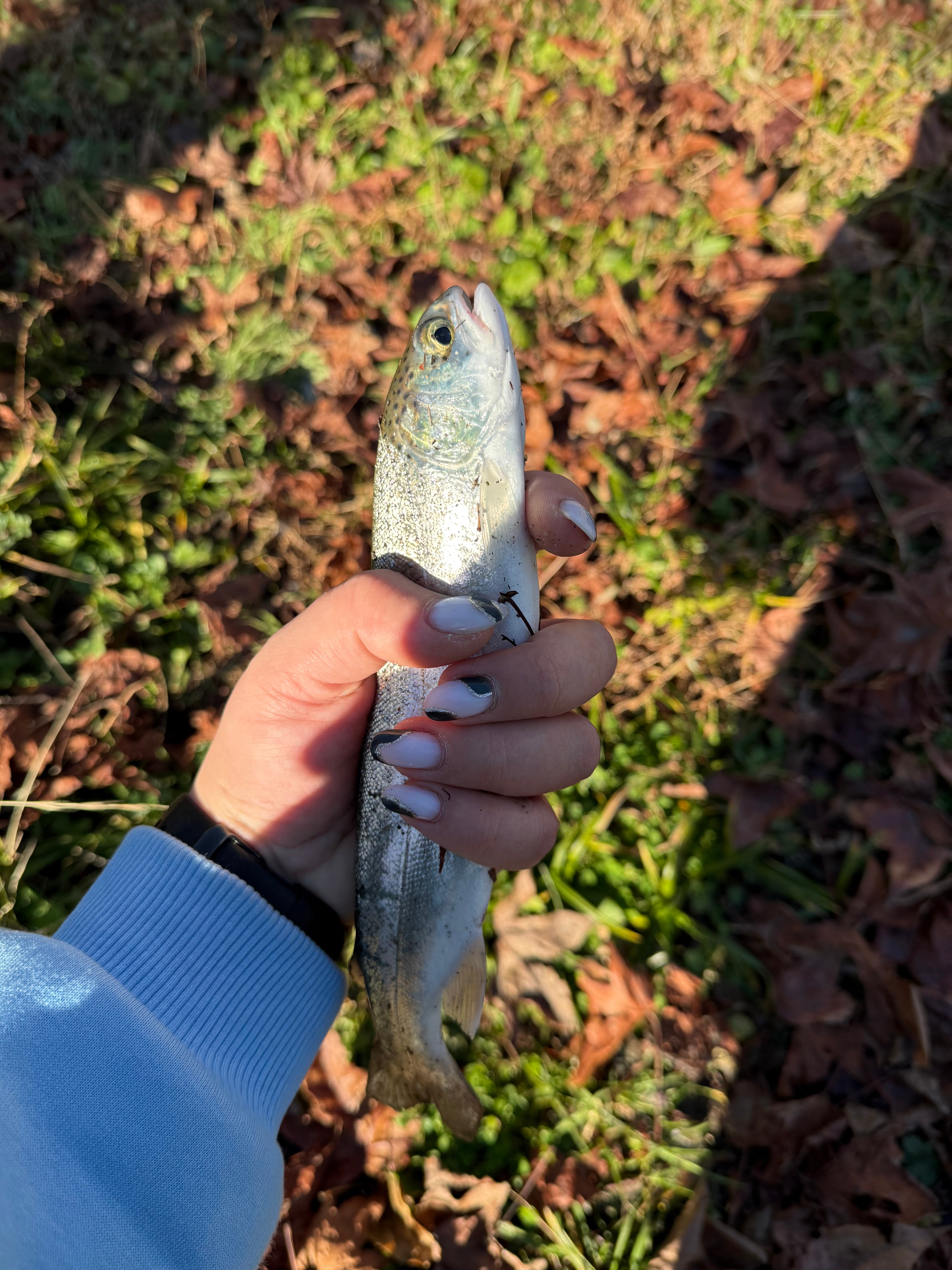 Фото КрутоТут