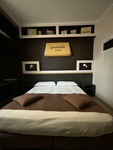 Гостиница Hotel Plaza Torino