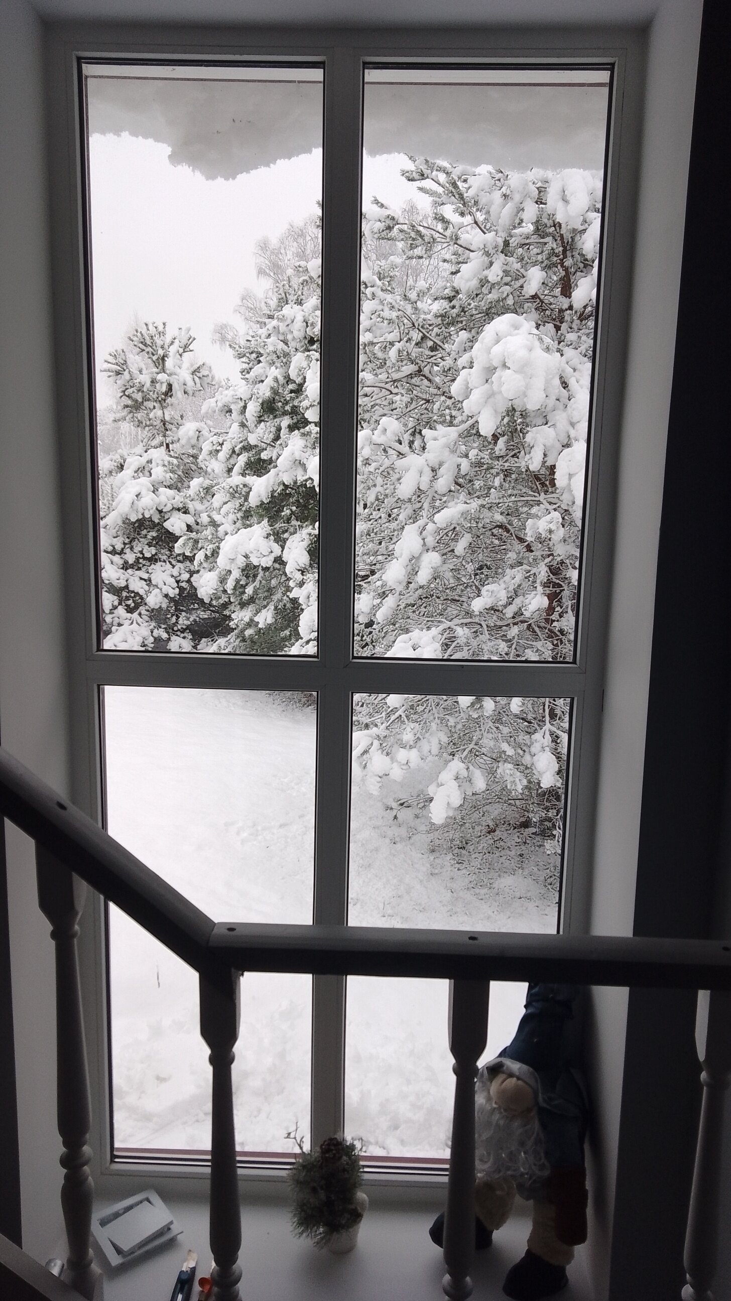 Фото Хитрый Лис