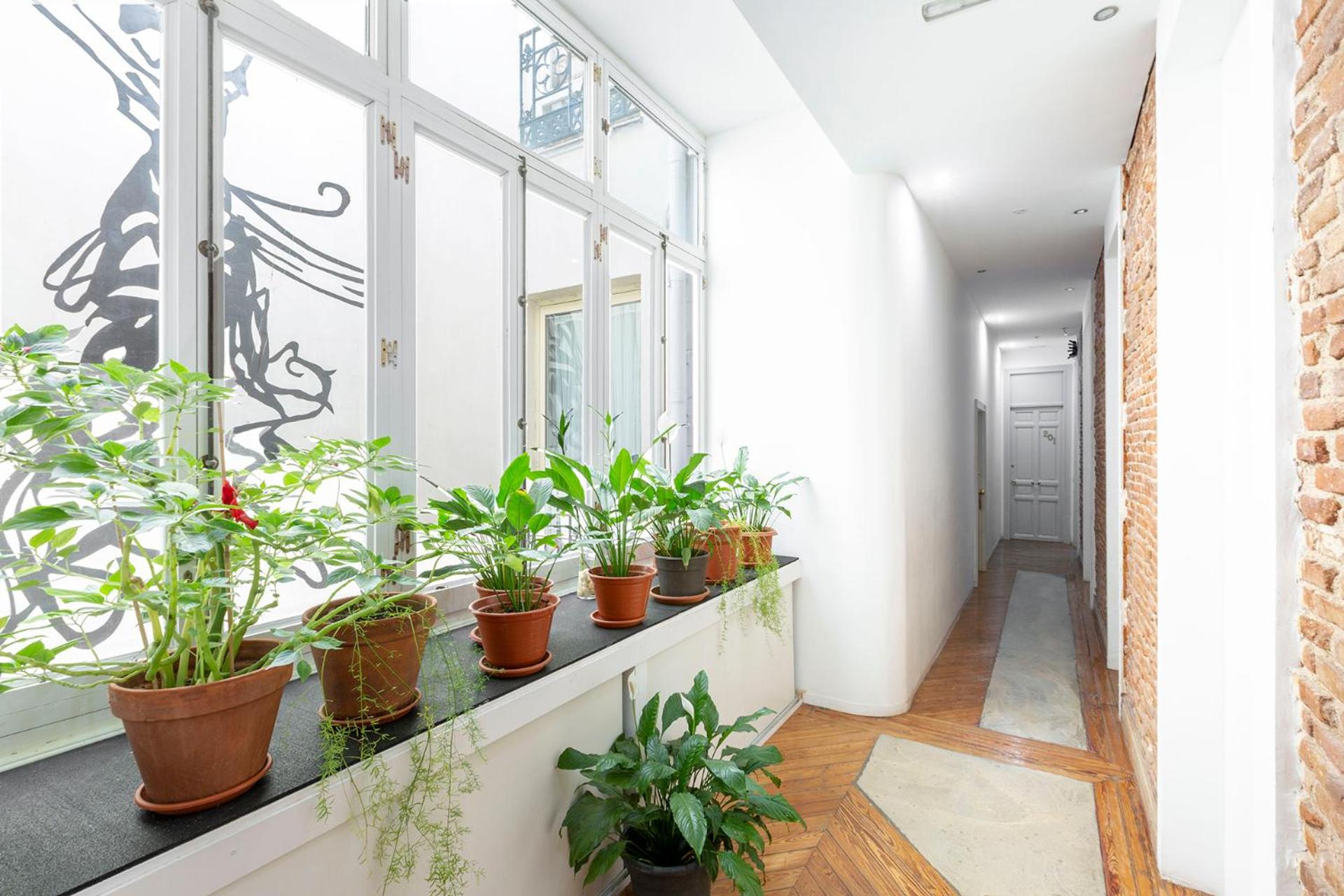 Фото Matute11 Suites