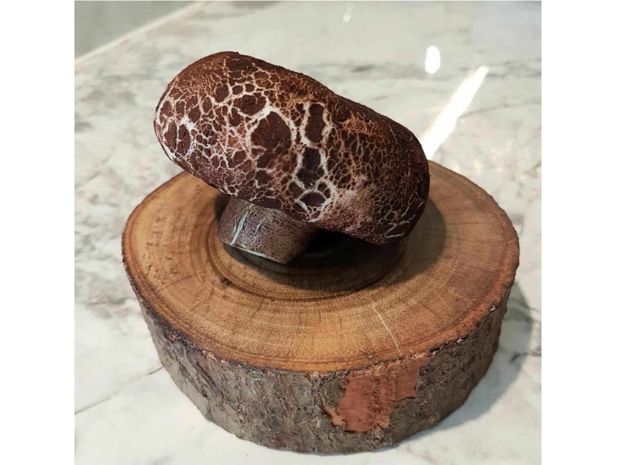 Фото Madera Residence Siracha