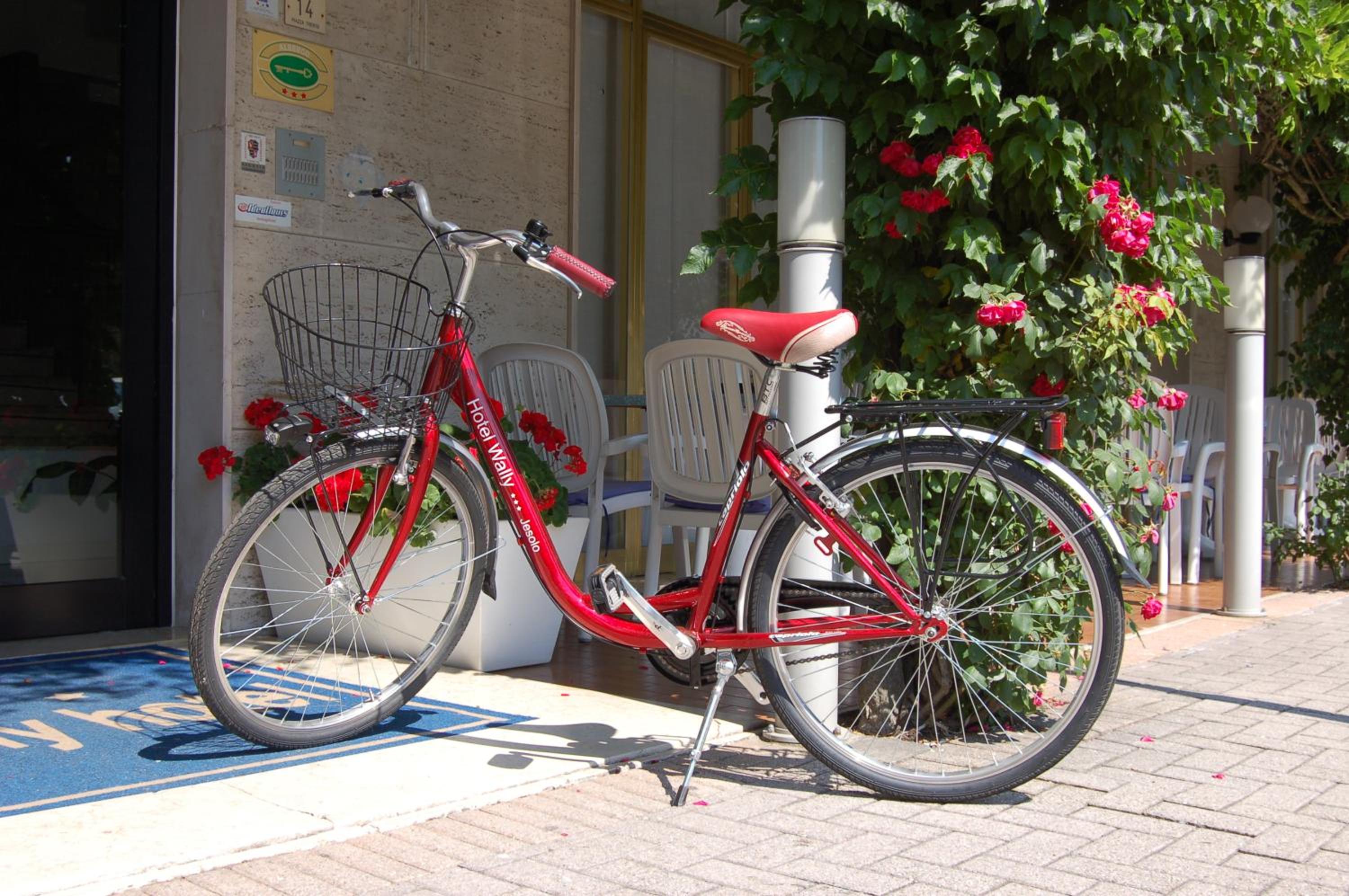 Фото Wally Hotel