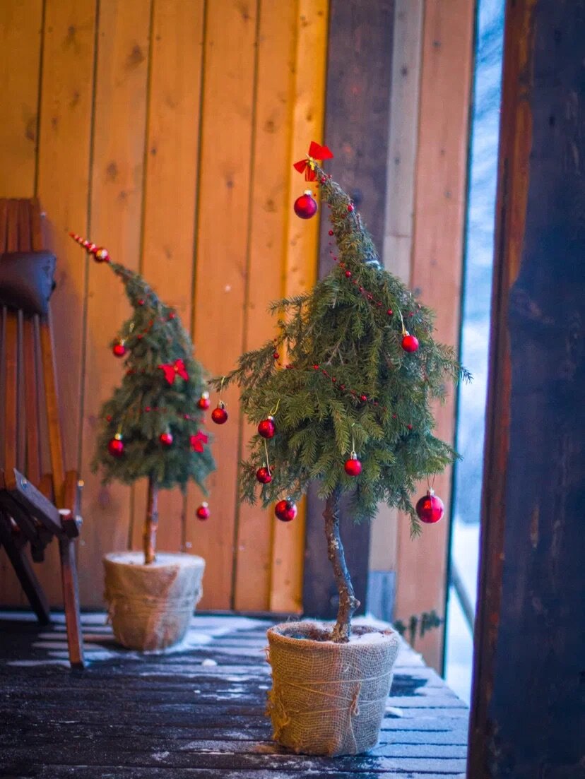 Фото Лувеньга река