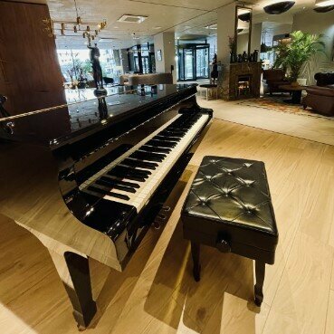 Гостиница Dom a'Moon в Пушкине