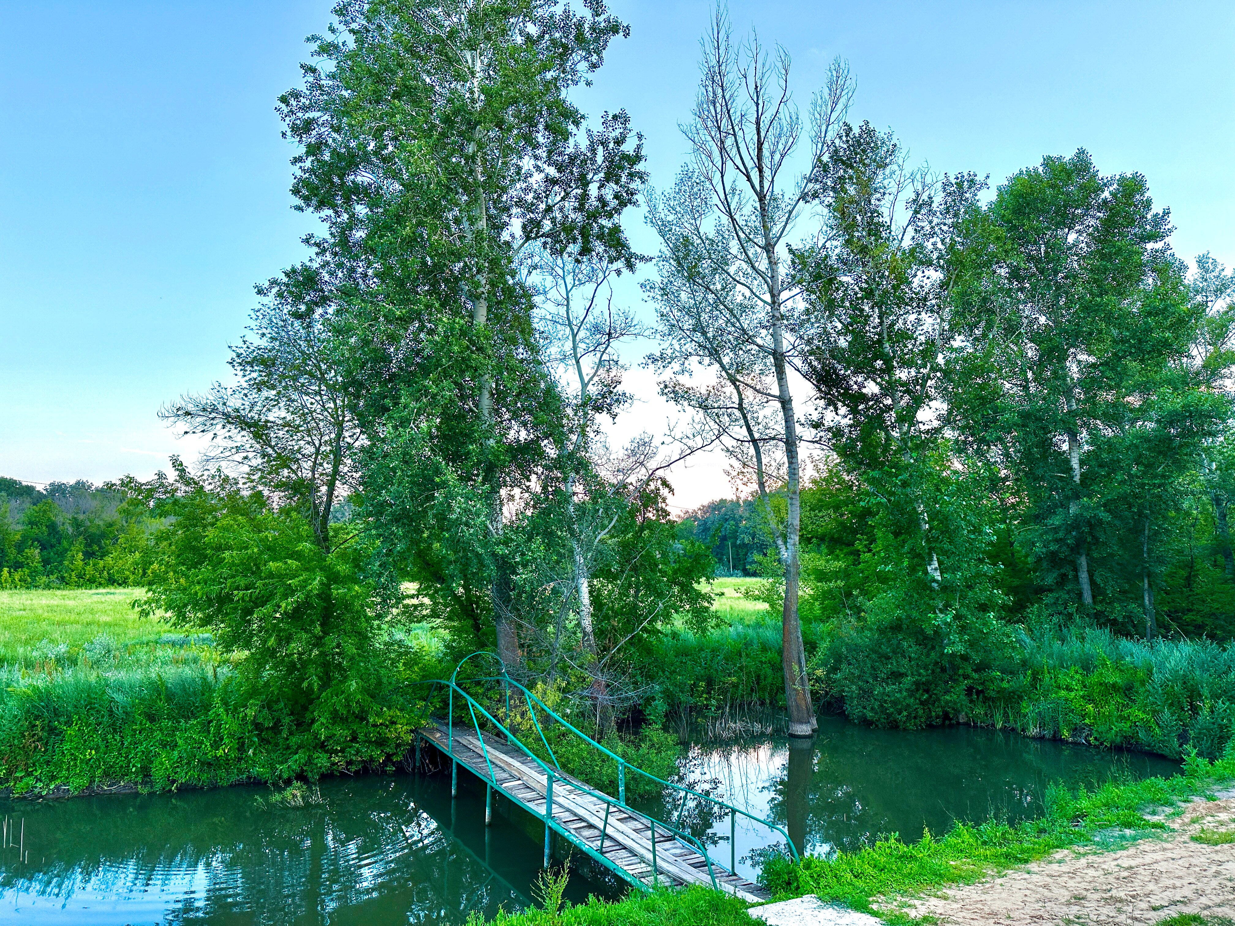 Фото Николаевский