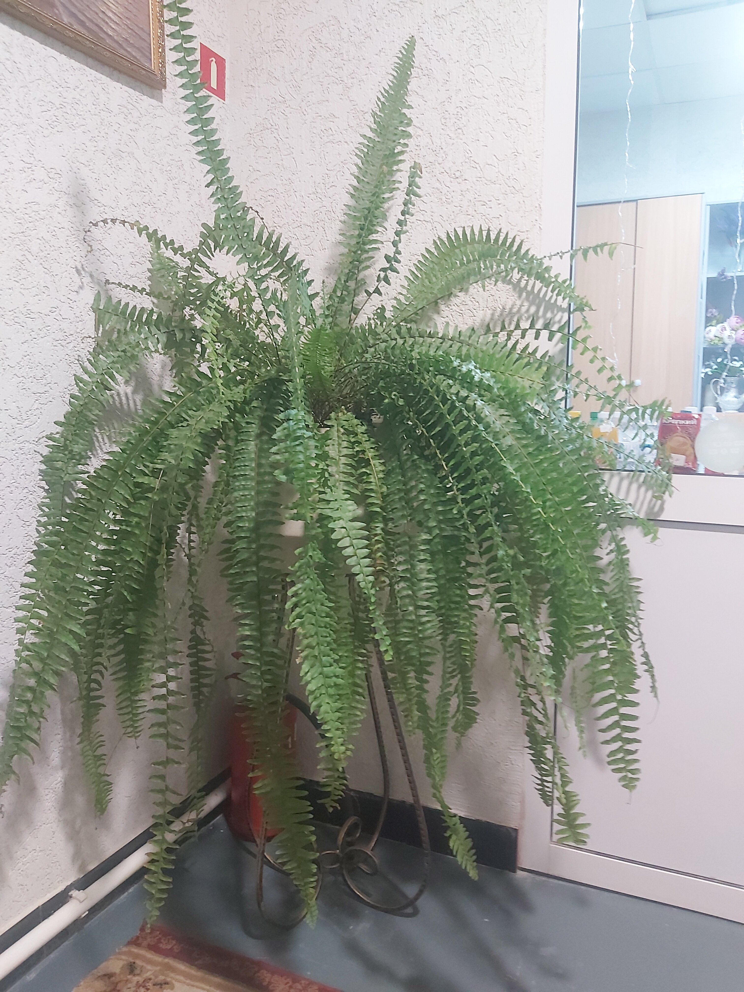 Фото Старый замок