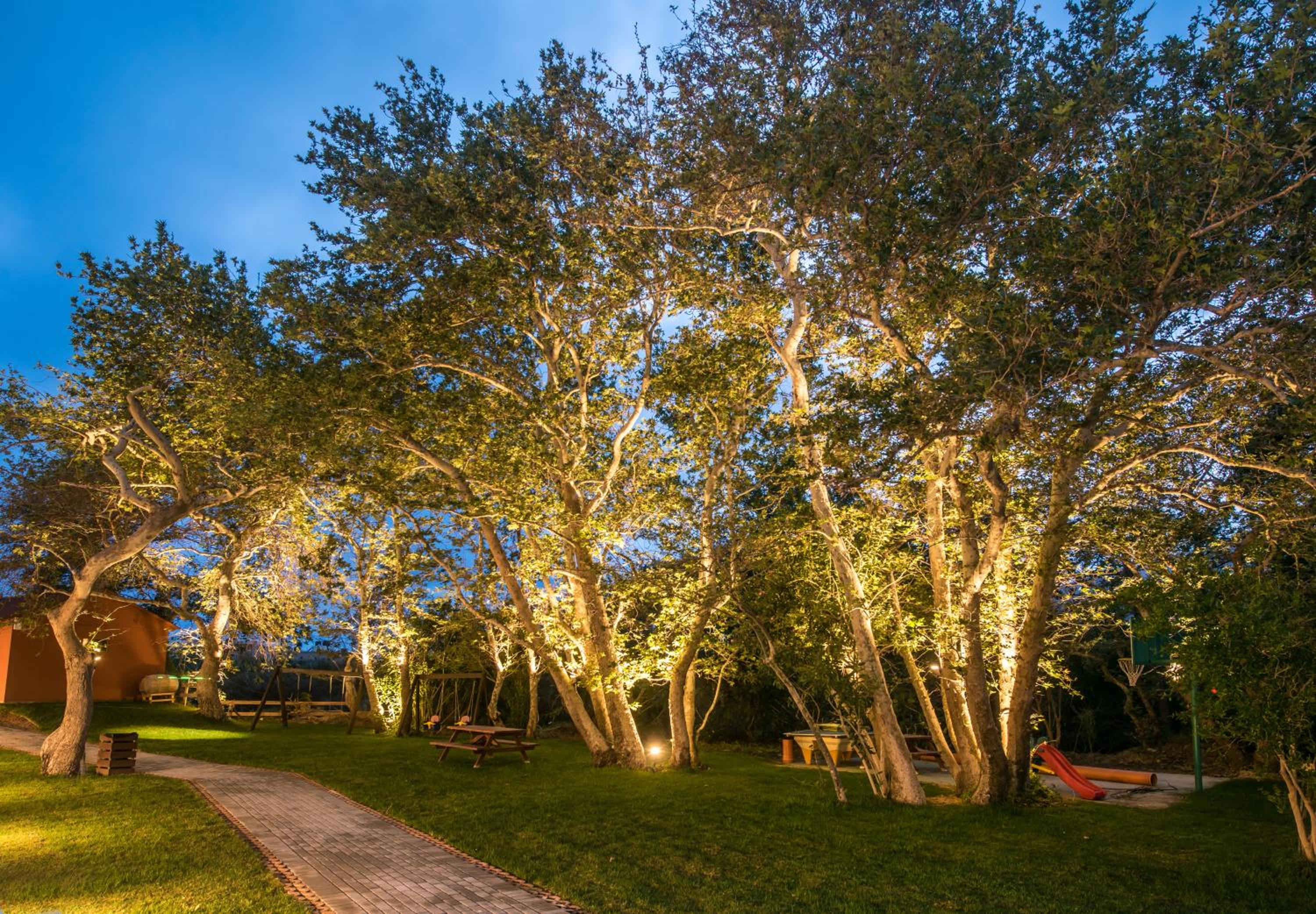 Фото South Coast Hotel