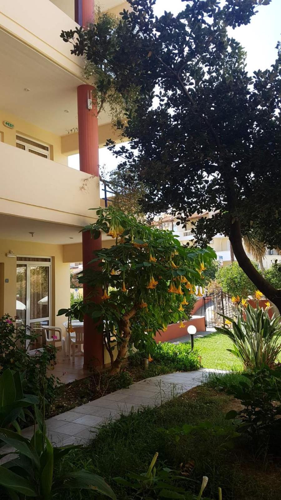 Фото Andy's Plaza