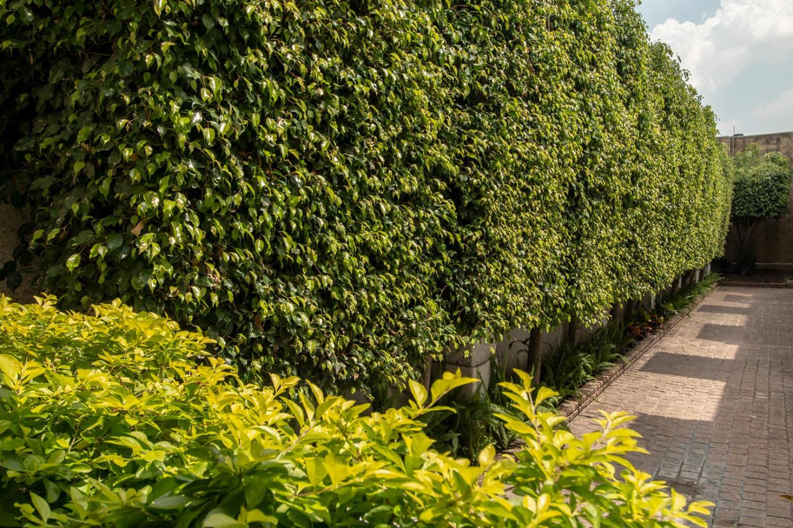 Фото Hotel Emperador Centro Guadalajara y Remodelado