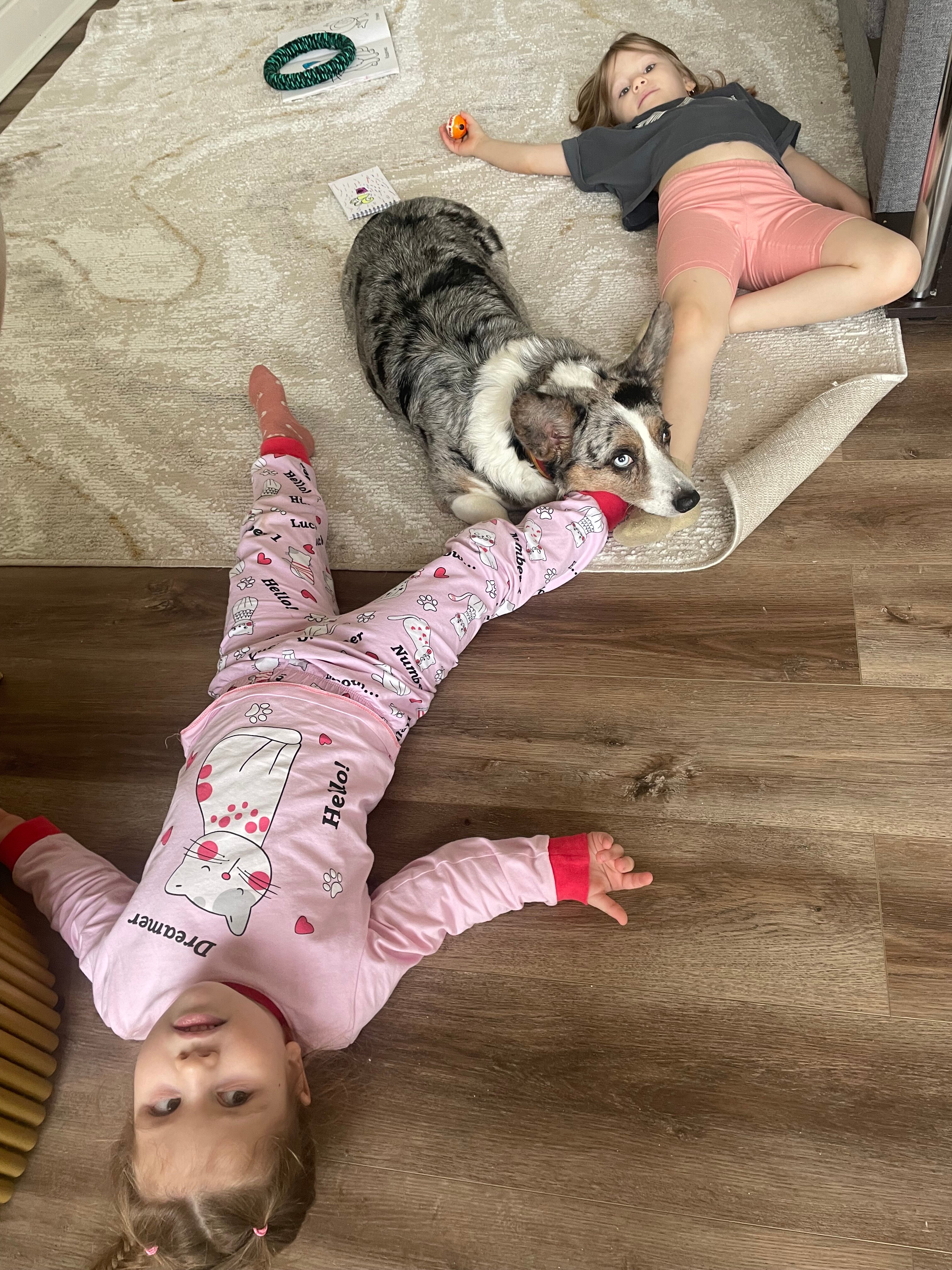 Фото Лайк Апартс