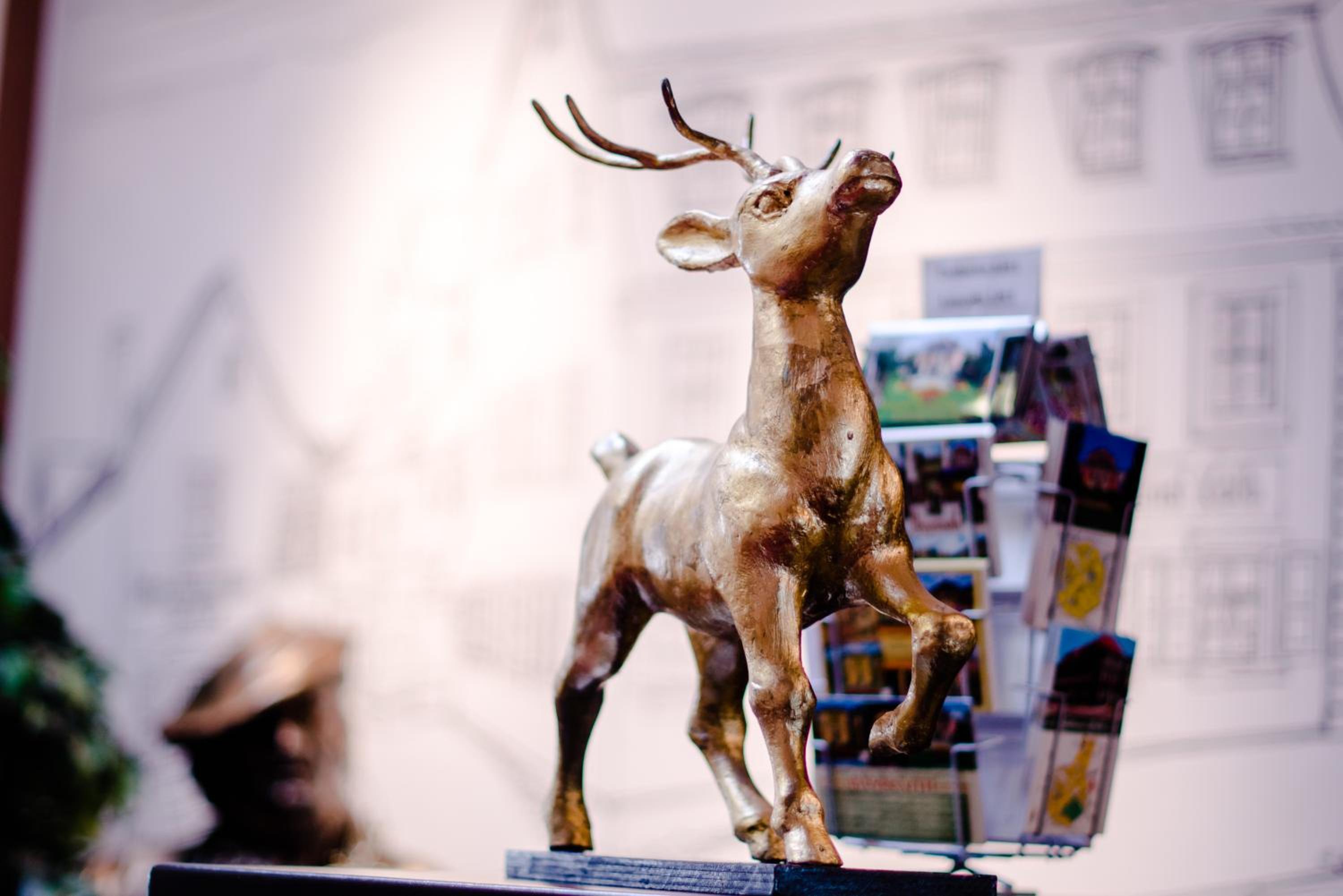 Фото Hotel Goldener Hirsch