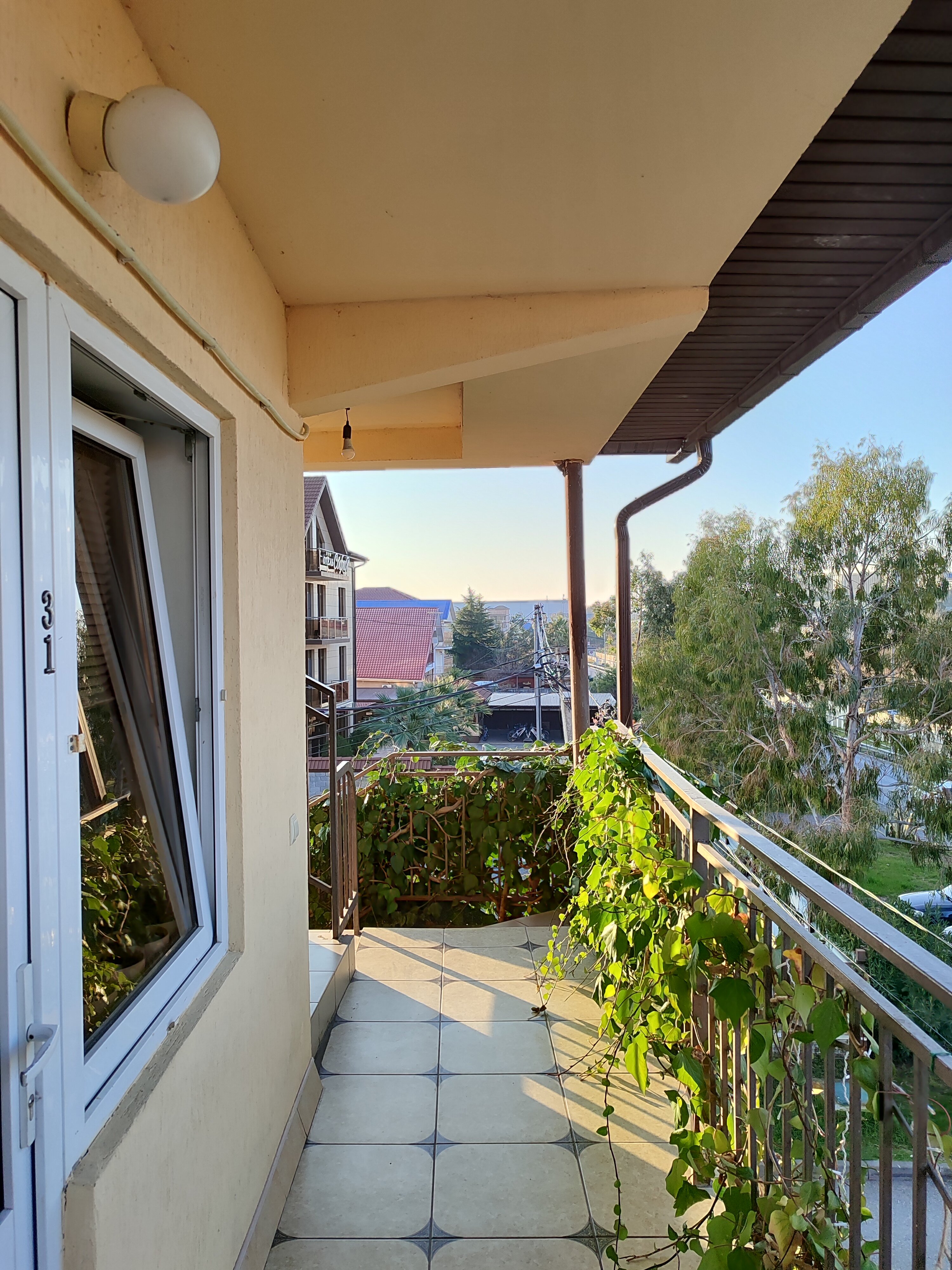 Фото Рассвет