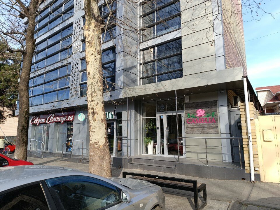 Фото Камелия