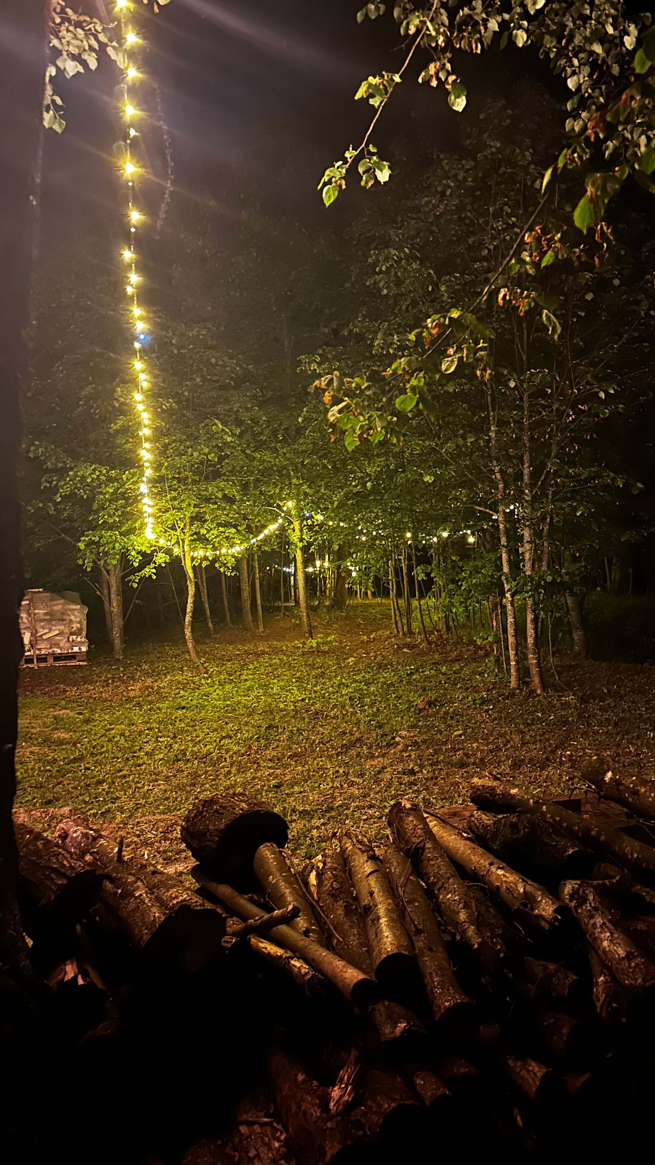 Фото Романовъ home