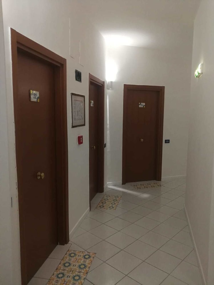 Фото Hotel Exagon Flower