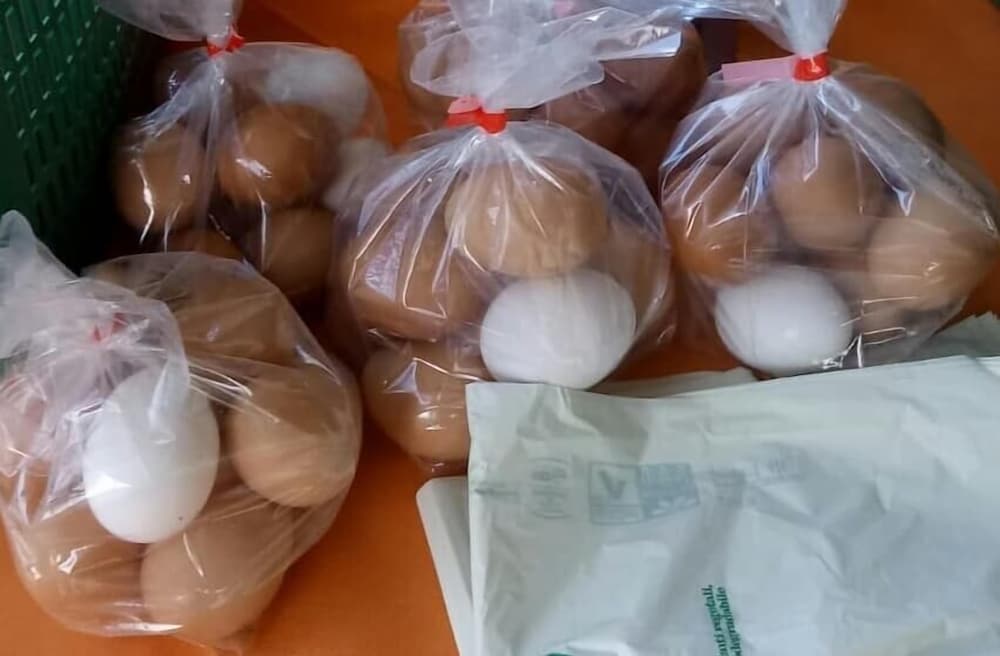 Фото Agriturismo Lo Scoiattolo