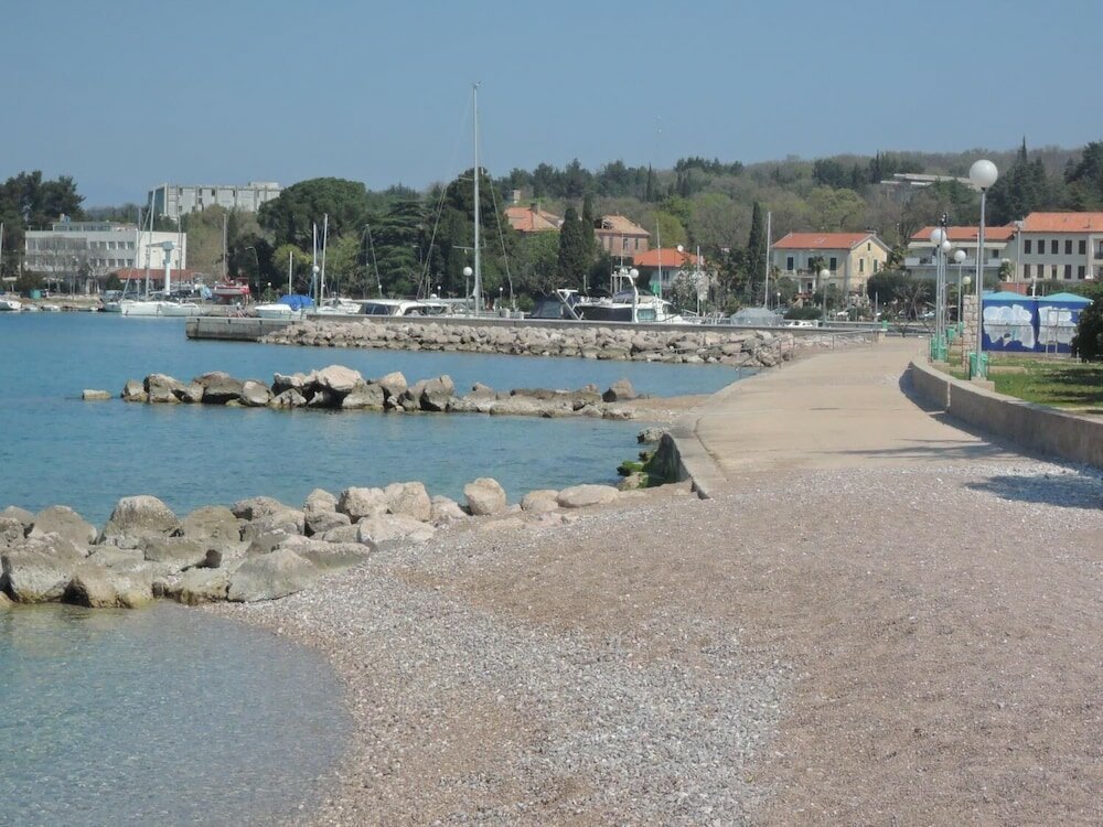 Фото Apartment Tulip