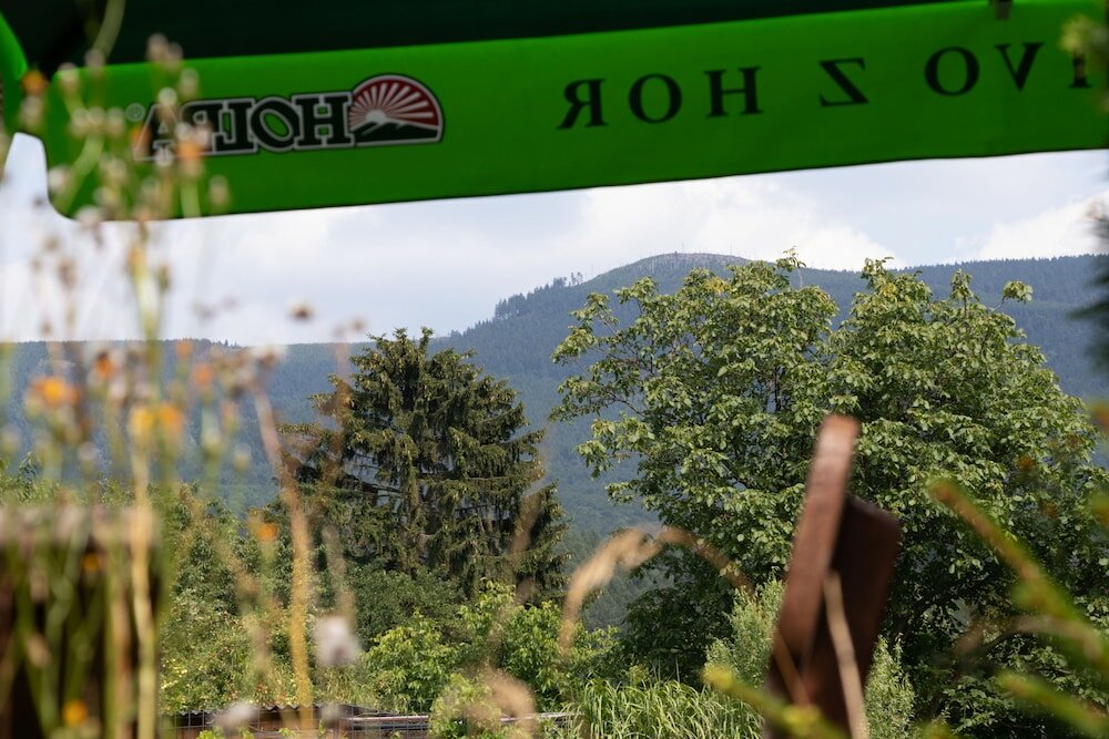 Фото Hotel Pod Jedlovým vrchem