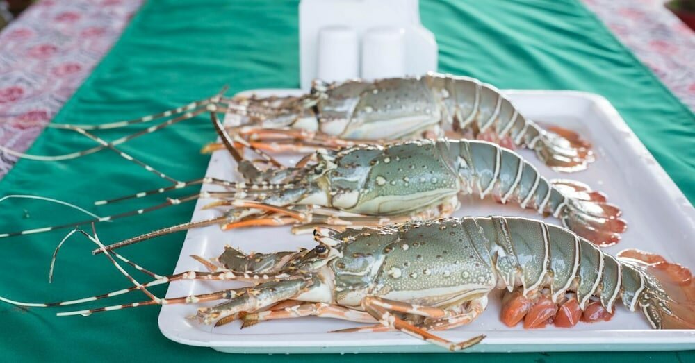 Фото Osaiba Beach Resort