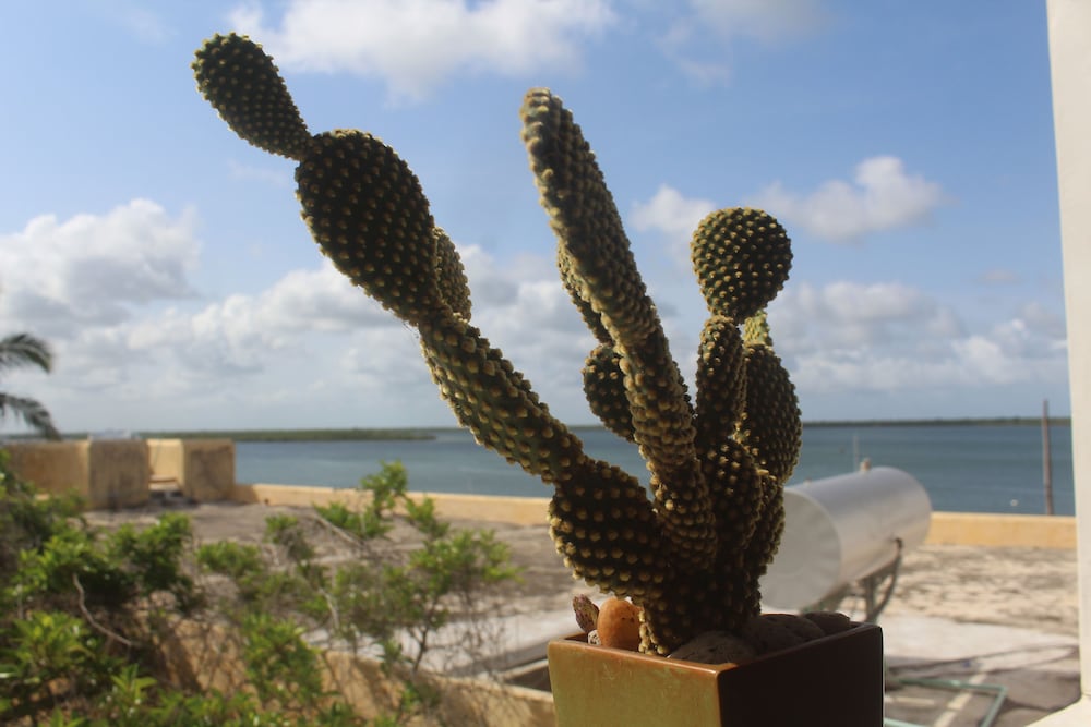 Фото Kijani Hotel