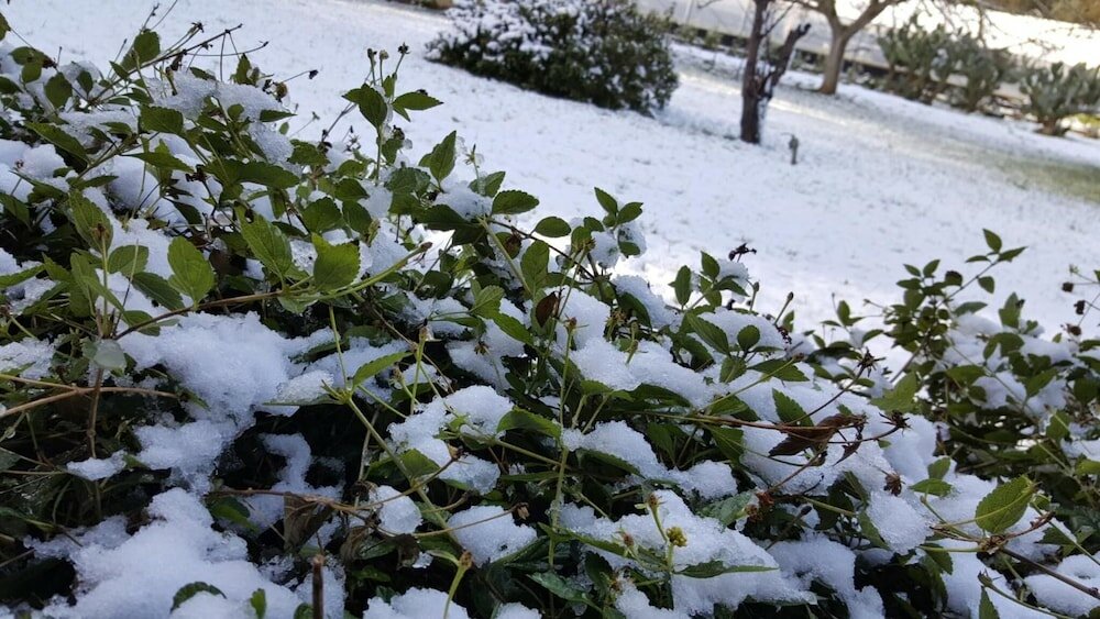 Фото Tenuta Cavalieri