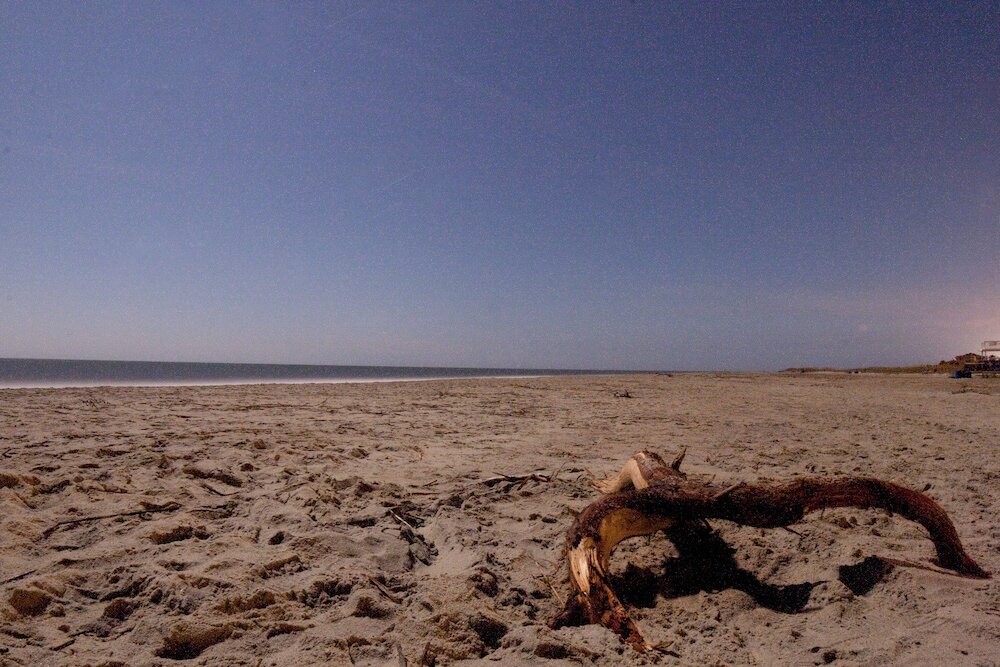 Фото DeSoto Beach Gardens