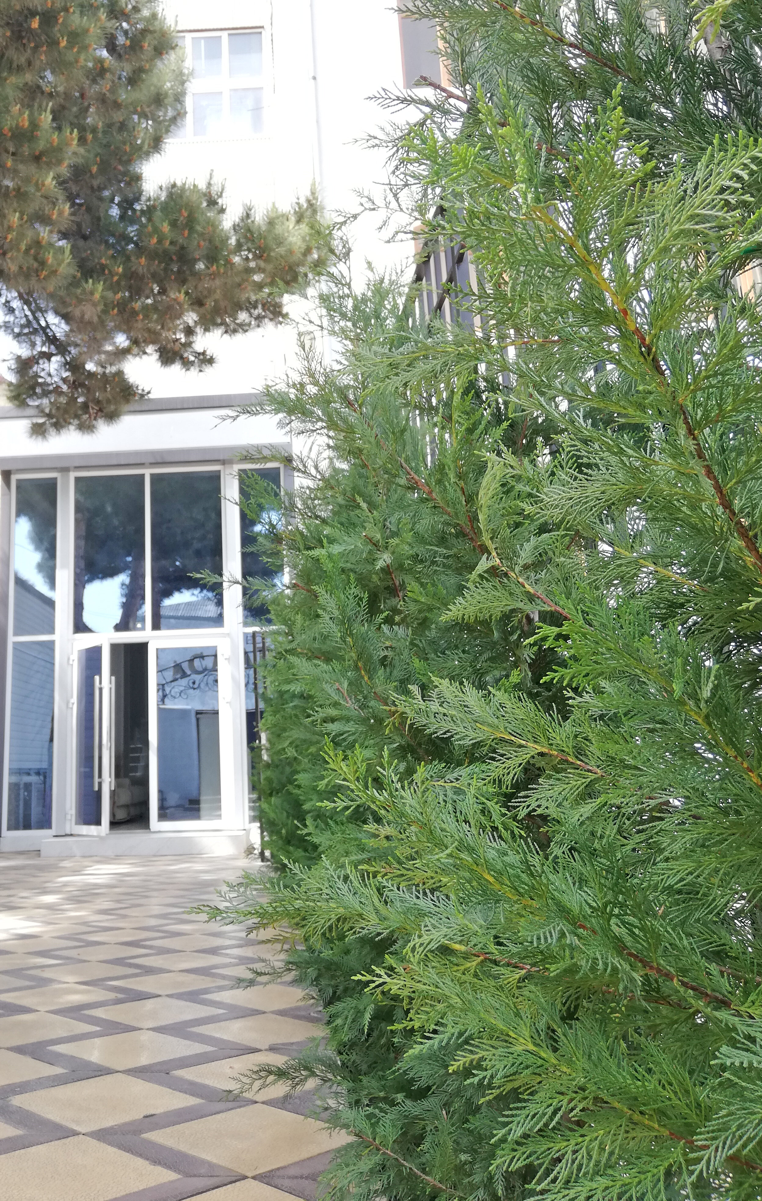 Фото Академия