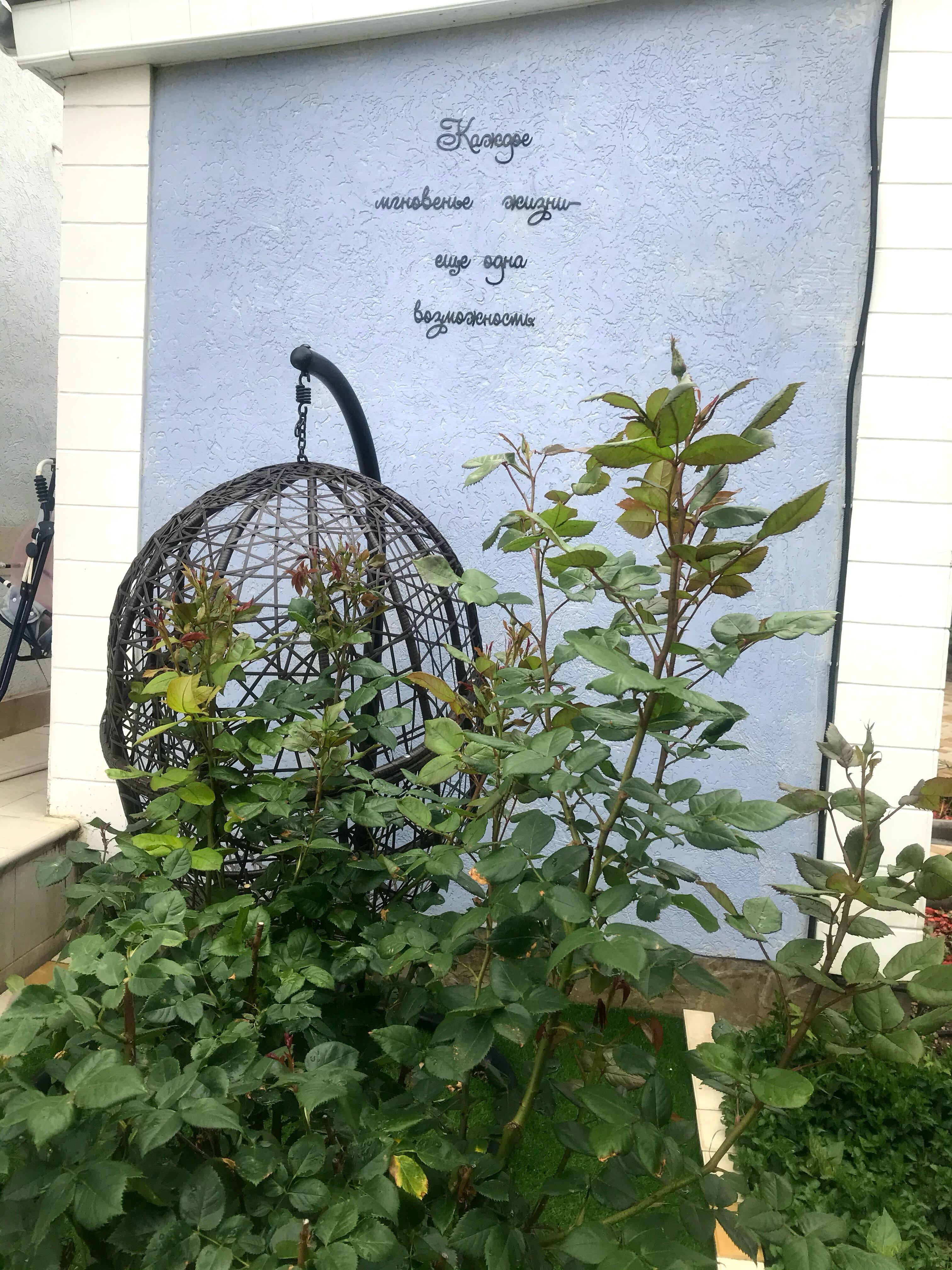 Фото Райский уголок