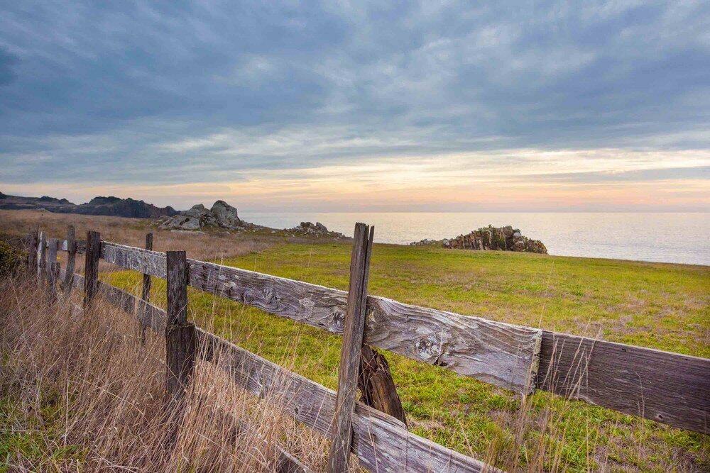 Фото Forest Getaway