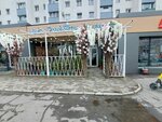 Rozenshtrasse 1 (Shevchenko Street, 11А), flower shop