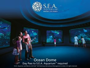 Фото Resorts World Sentosa - Hotel Ora