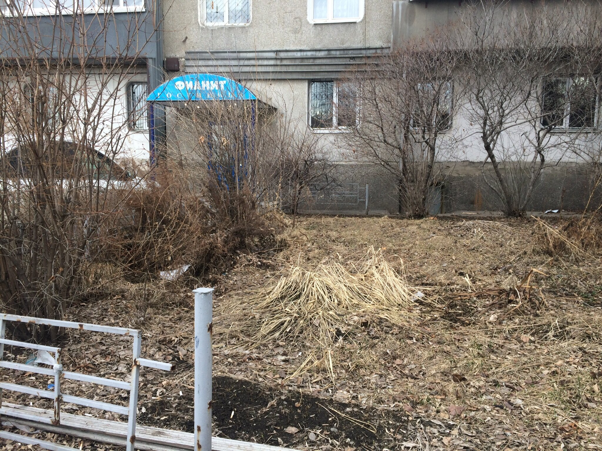 Фото Фианит