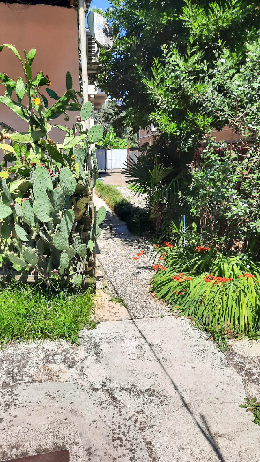 Фото У Ирины