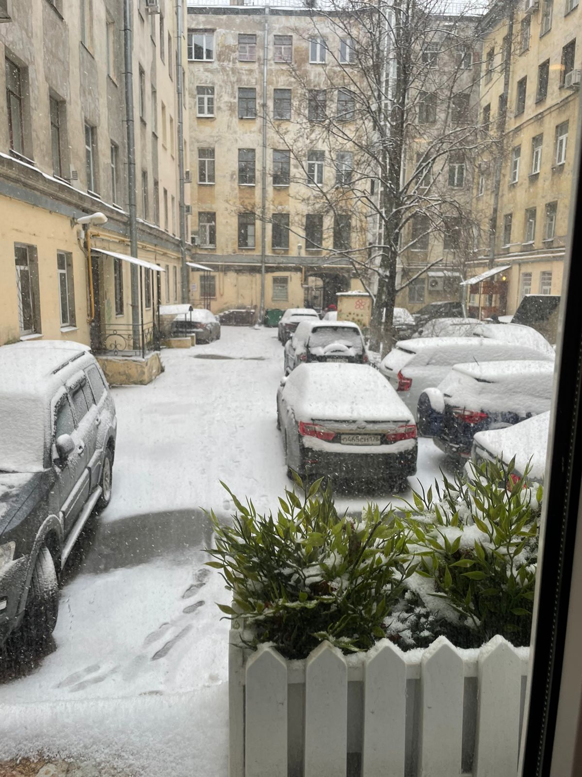 Фото Амиго Syncotel