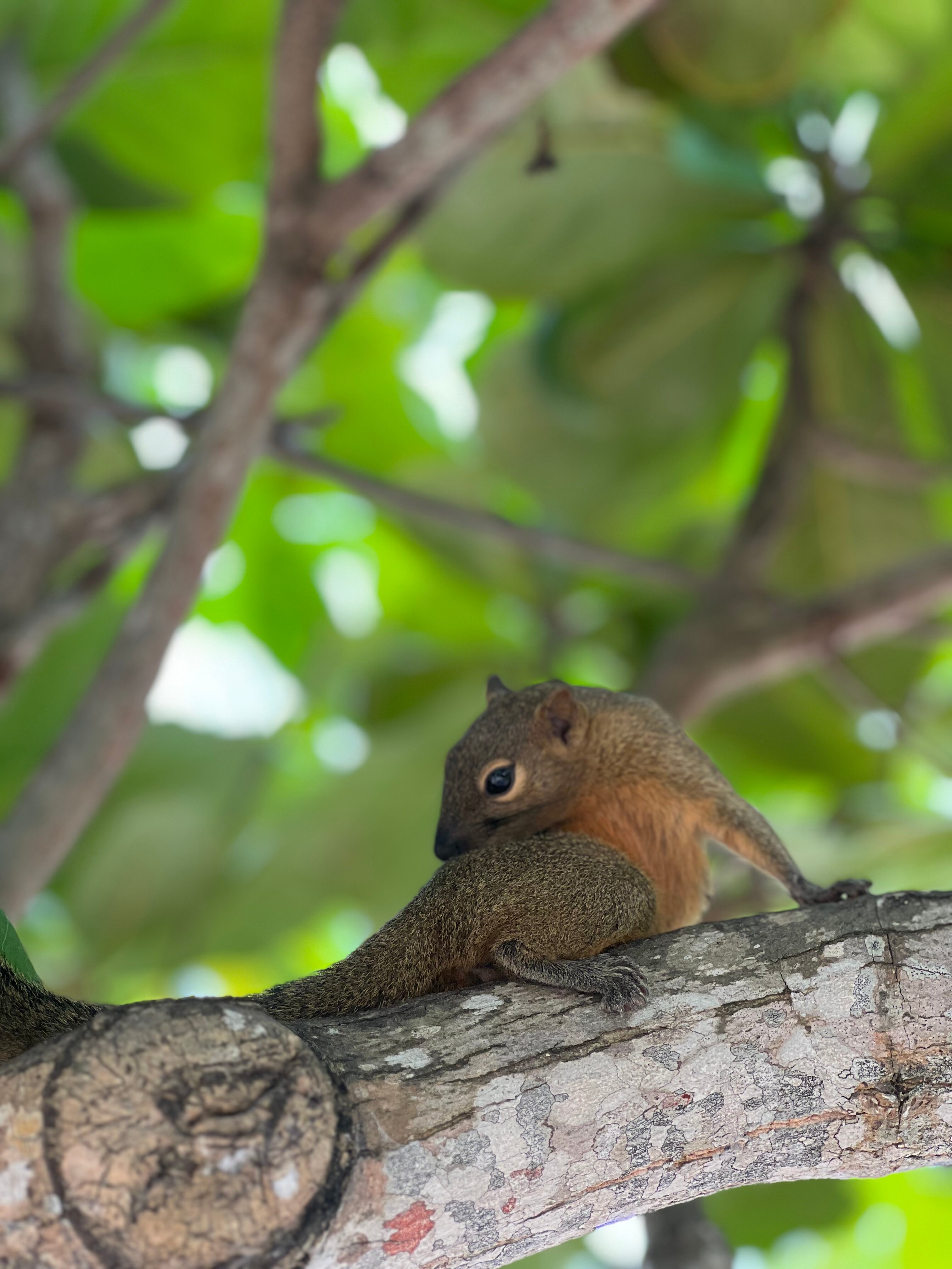 Фото Sofitel Bali Nusa Dua Beach Resort