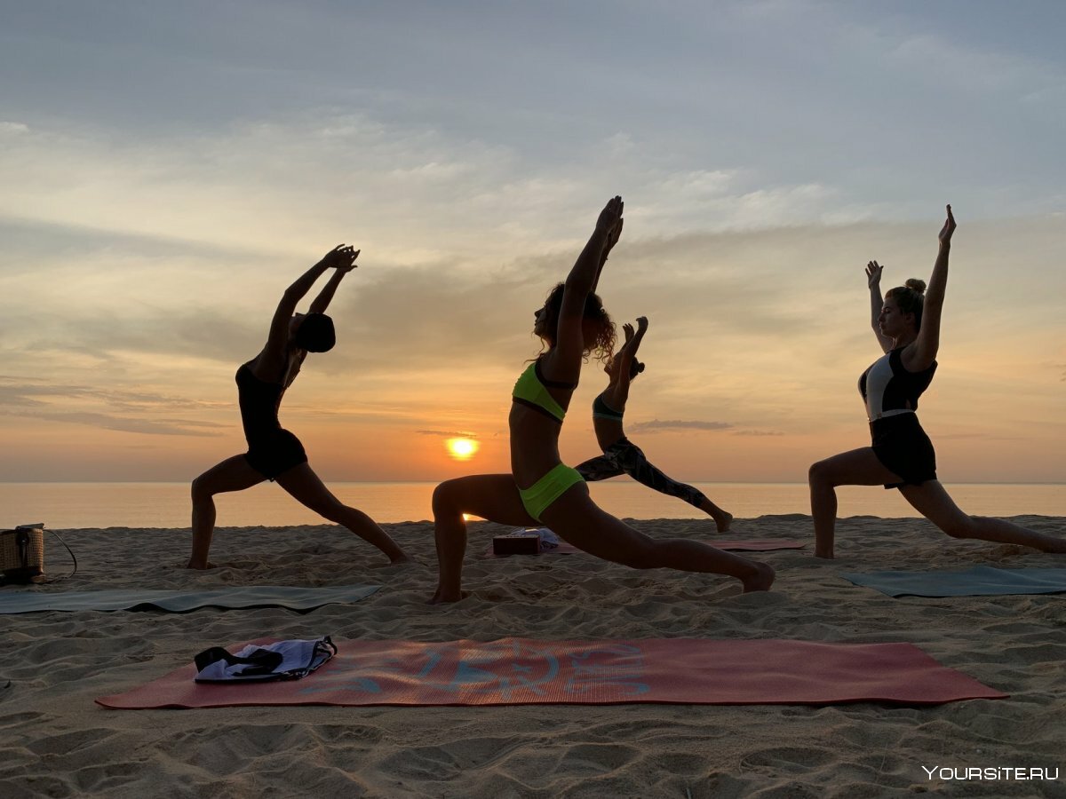 Фото Гранд Камелия