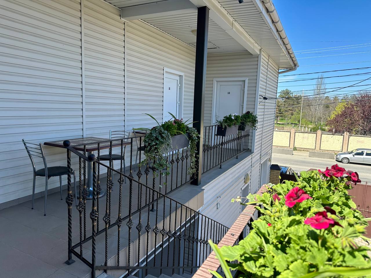 Фото Магнолия