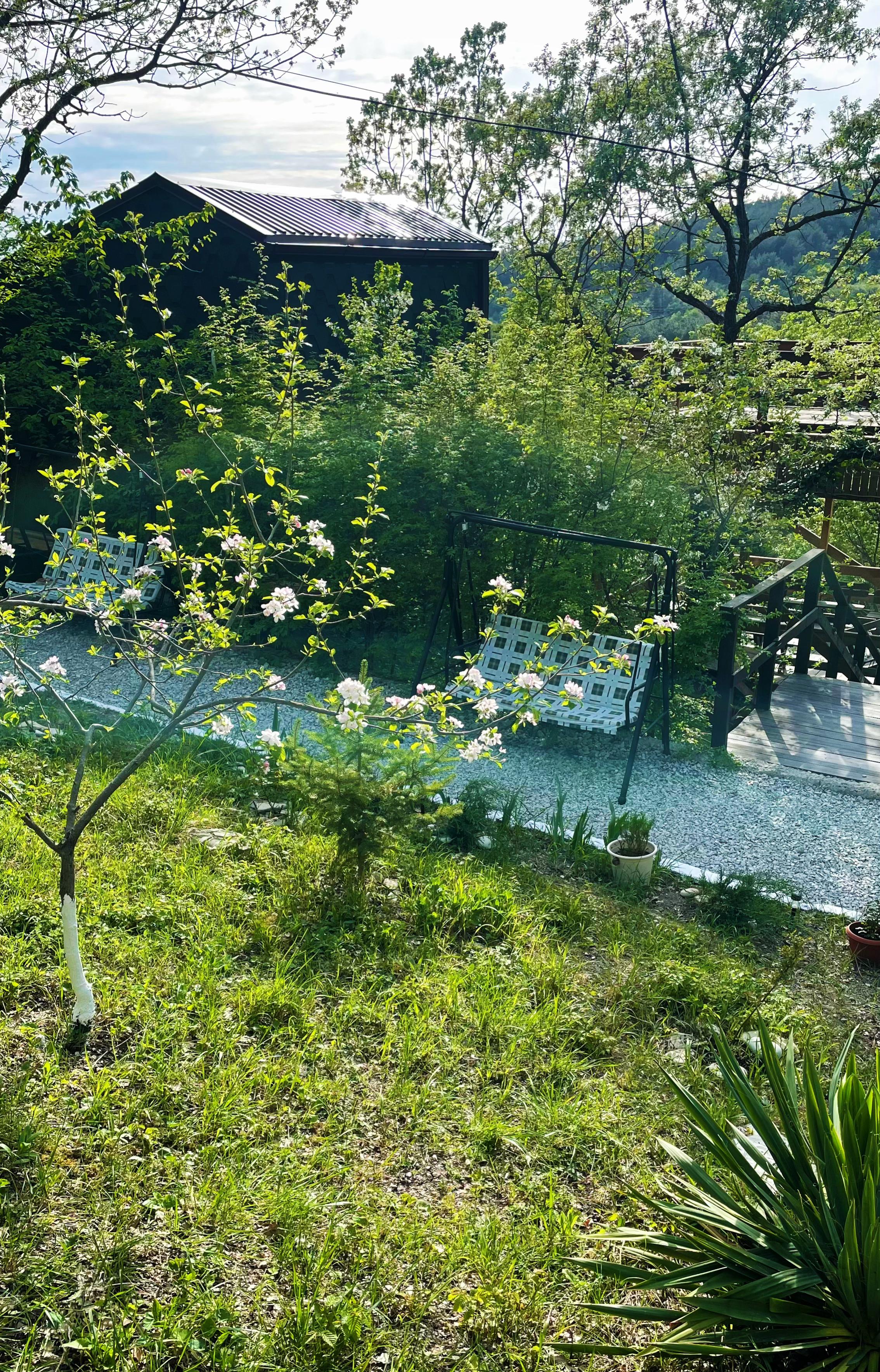 Фото Бегом к нам