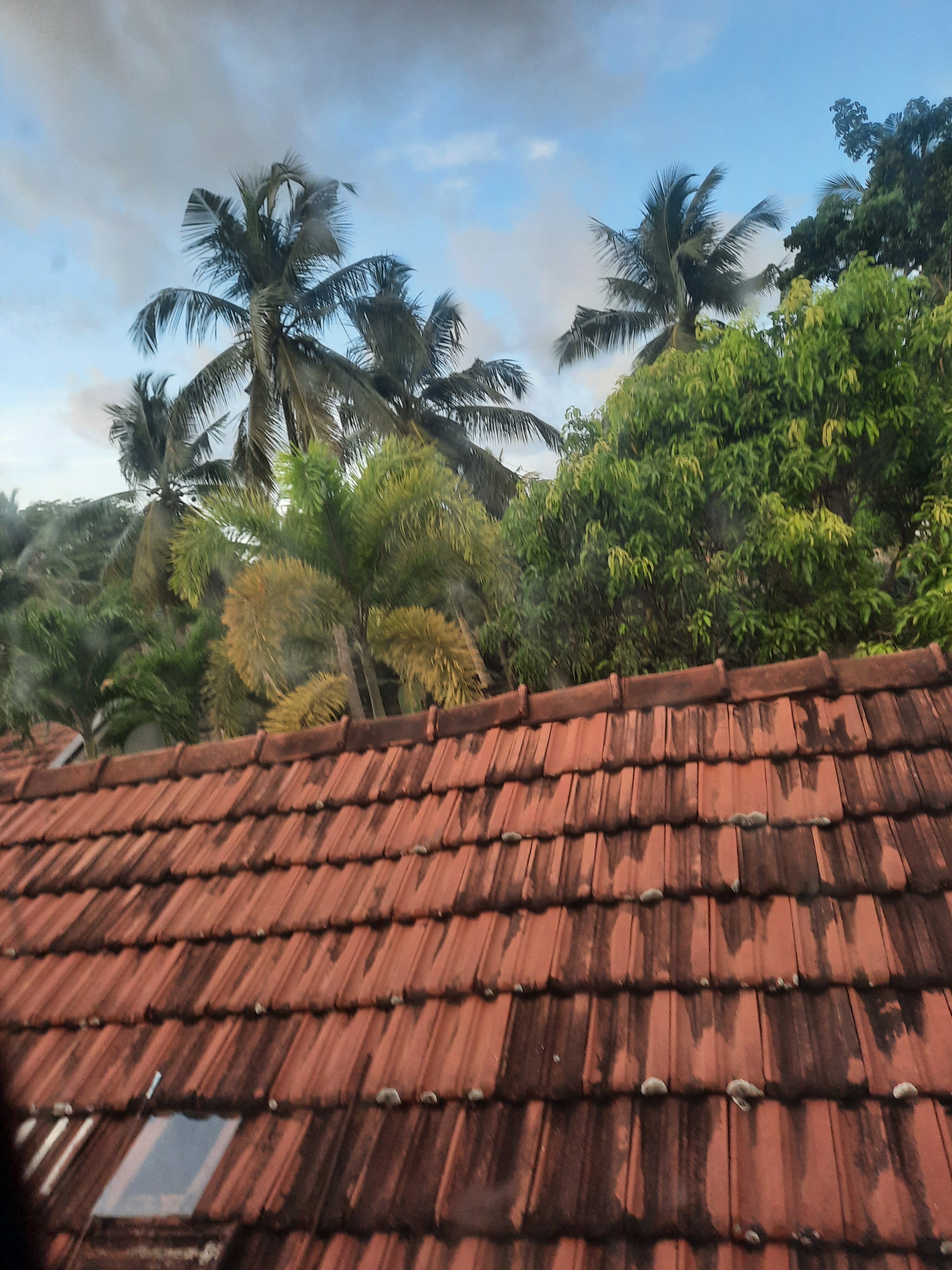 Фото House Of Seya