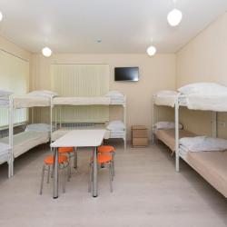 Фото Поживика